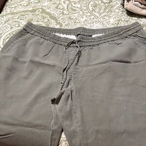 Talbots Women's Sage Green Ankle Pants